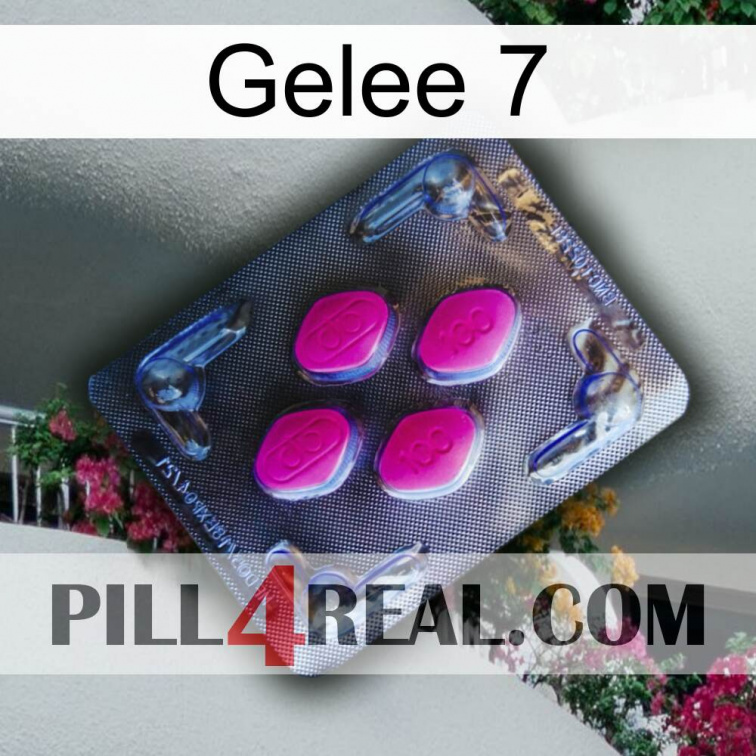 Jelly 7 02